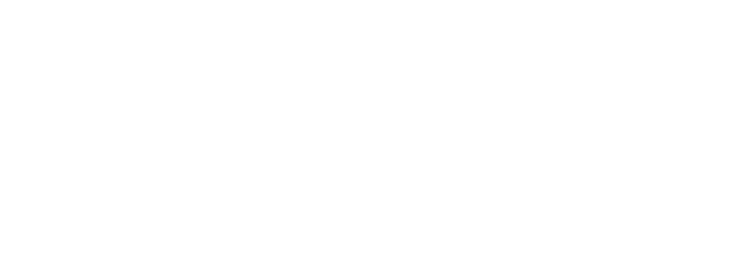 Portolio Solutions